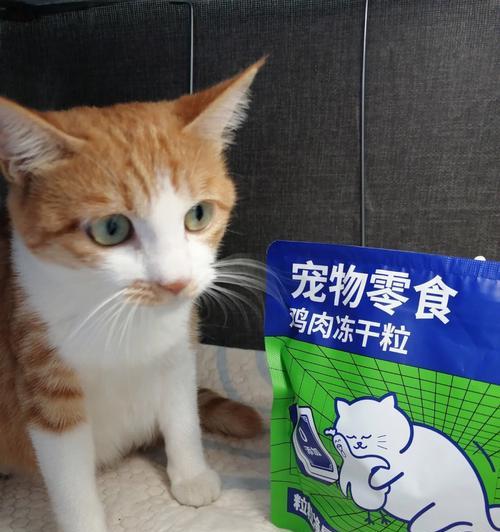 如何合理地为宠物猫咪补充营养（以猫咪冻干怎么吃为例）