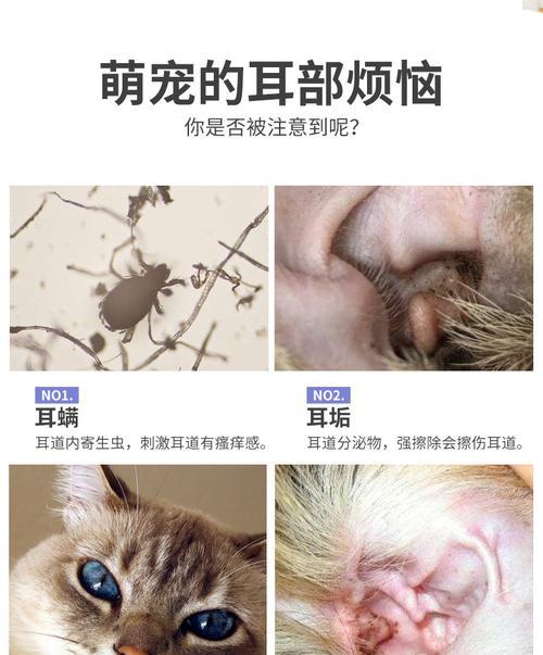 宠物猫耳螨致毛发脱落的治疗方法
