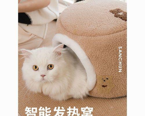 猫咪发烧了怎么办（宠物疾病常识）