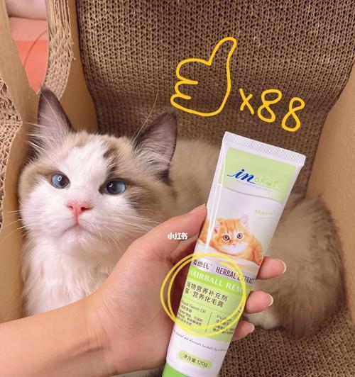 猫咪化毛膏（了解猫咪毛发问题）