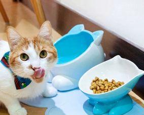 猫咪换猫粮，正确的方法和注意事项（从宠物健康和口感出发）