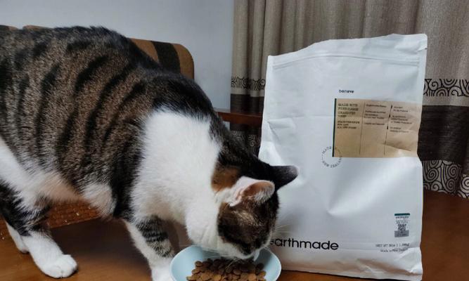 猫咪饮食搭配攻略（混合猫粮吃法大揭秘）