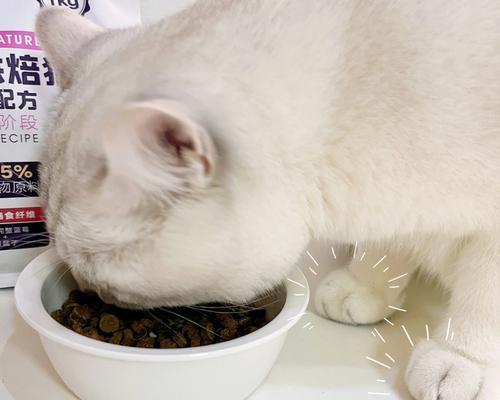 猫咪饮食搭配攻略（混合猫粮吃法大揭秘）