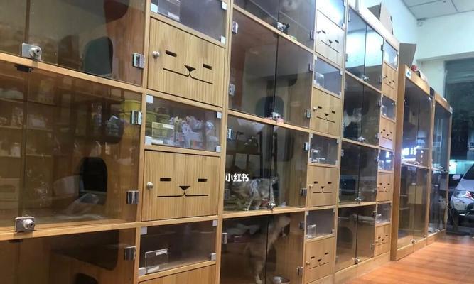 宠物寄养店的选择与注意事项（以猫咪寄养宠物店为例）