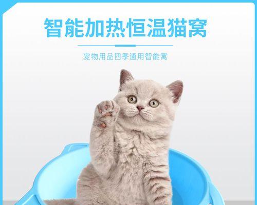 用猫咪奖励宠物的正确方法（如何用猫咪奖励宠物）