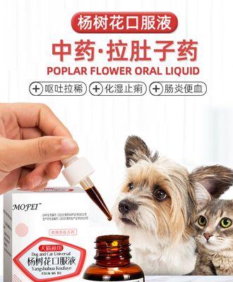 猫咪拉稀带鲜血，怎么办（宠物主人必看的护理知识）