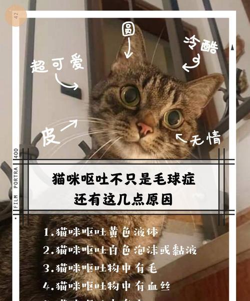 猫咪毛球症（如何预防和治疗猫咪毛球症）