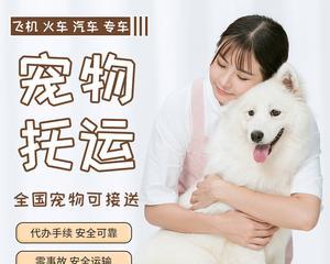 探讨宠物快递中猫咪是否适合寄送（了解猫咪快递的注意事项和安全保障）