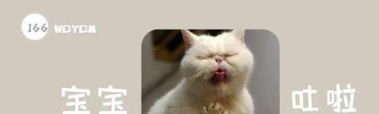 猫咪呕吐的原因及如何正确喂养（宠物养护小知识）