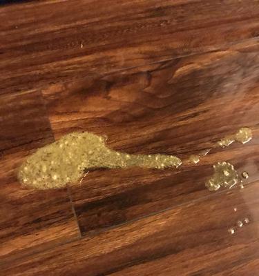 猫咪呕吐物带血，你应该关注的这个问题！