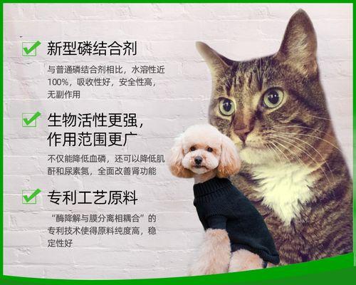 猫咪生化肾调理法