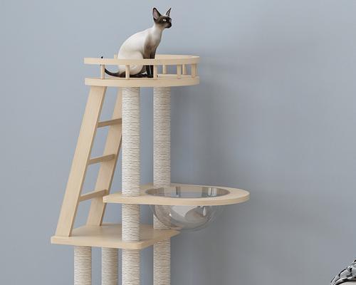 猫咪的好伴侣——猫爬架（让宠物舒适安心的装备）