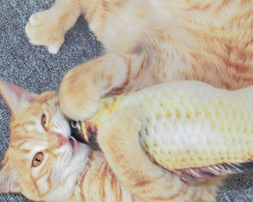 猫咪玩游戏会吐的原因剖析（以宠物为主的注意事项及解决方案）
