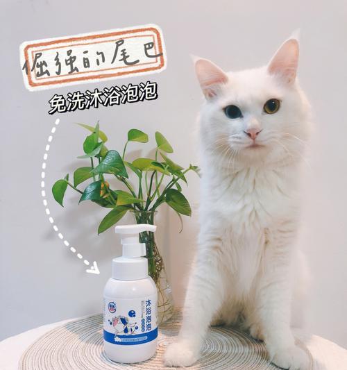 给宠物猫洗澡的正确用水方法（以安全为前提）