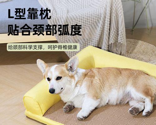 以狗产窝，用什么东西（探讨适合宠物犬产窝的材料及方法）