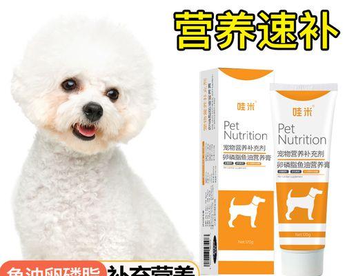探究宠物狗肠胃检查的费用及注意事项（了解狗肠胃检查费用）