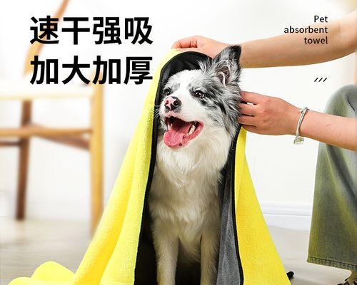 狗吃毛巾该怎么办（宠物误食毛巾的处理方法）