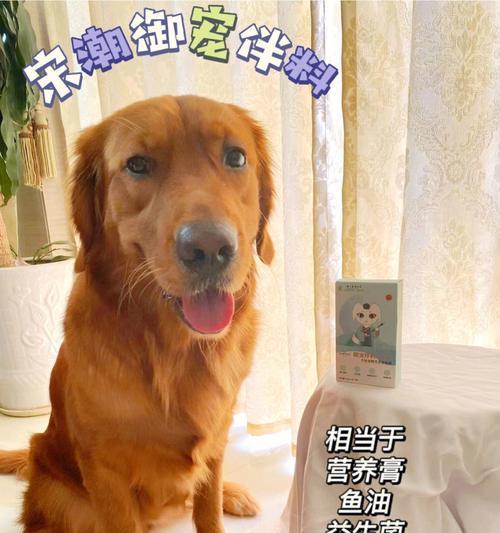 从食物中寻找最佳健康宠物选择（以狗吃什么最补身体——探寻营养均衡的食品）