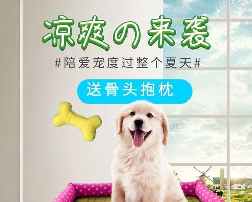 爱宠狂欢夜——狗狗如何让女主人醉倒在床上（以宠物为主的欲望故事）