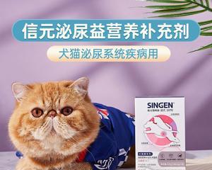 狗狗膀胱炎治疗费用究竟多少钱（从病因到治疗）