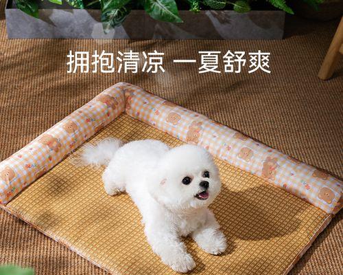 萌宠造型（以狗狗的背部图案为主题）
