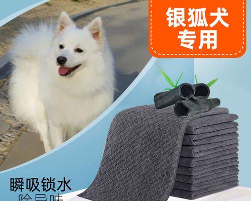 如何解决狗狗闭尿的问题（从症状到治疗全方位指导）