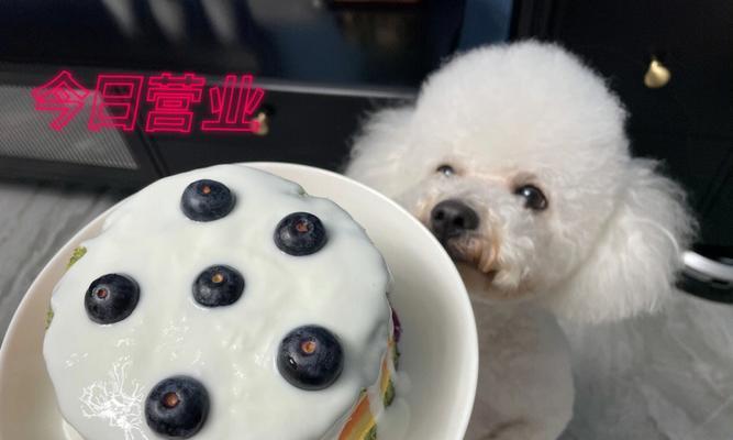 狗狗不能吃紫薯的原因（以宠物为主）