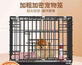 如何让宠物狗热爱笼子（让狗狗自愿进出笼子的8个小技巧）