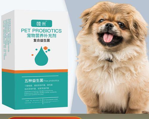 狗狗肠叠结的病因、症状与治疗（宠物爱护必备）