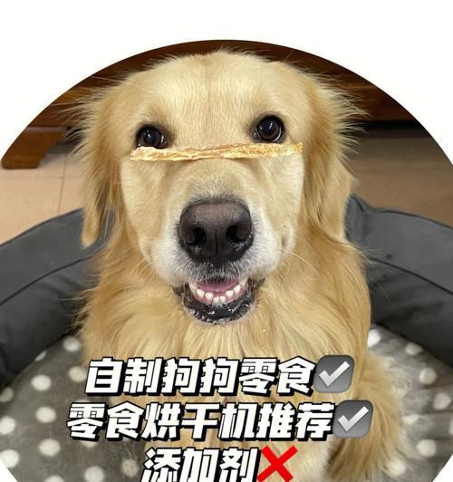 狗狗食用鸡肉增重，你需要知道的一切（营养丰富的鸡肉可以给你的爱犬带来健康的体重增长）