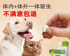 宠物误食药膏该怎么办（狗狗吃了涂抹得药膏的应急处理）