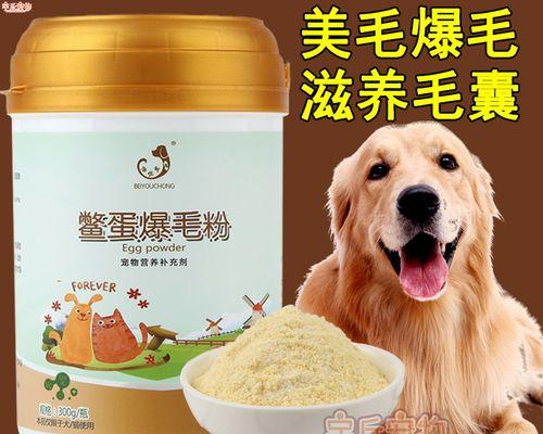 如何让宠物狗增加毛发（食补与护理双管齐下）