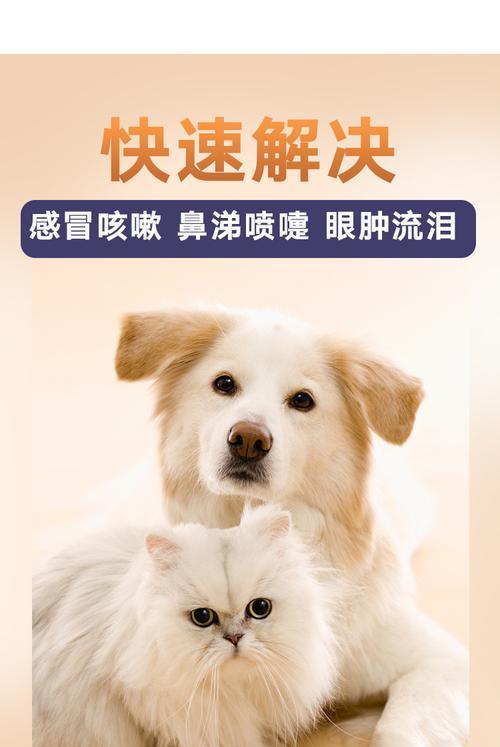 狗狗喘气、鼻塞怎么办（一起来看看狗狗喘气）
