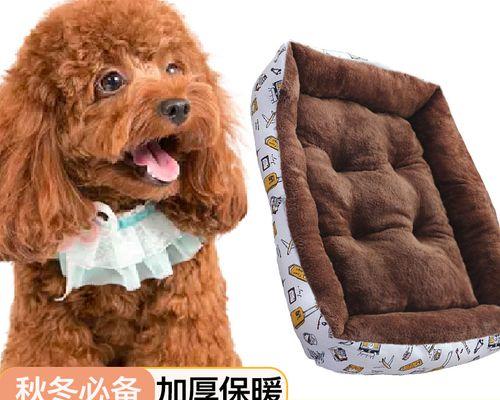 怎样给宠物狗狗春季保暖（宠物狗狗春天怎么穿衣服）
