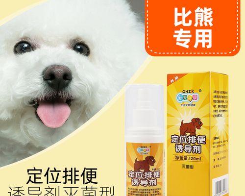 狗狗大便软拉的原因及解决方法（宠物爱护必读）