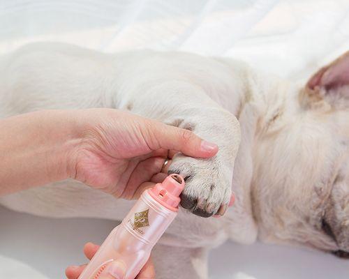 狗狗狼趾剪除必要性解析（宠物照顾指南）