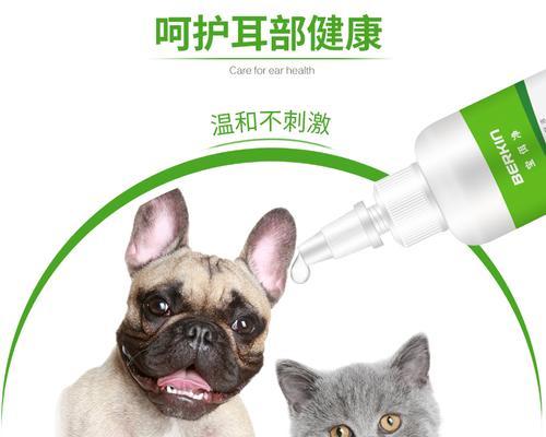 小心（宠物犬的耳朵保健重要性和滴耳油注意事项）