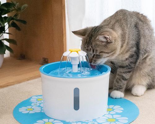 宠物饮水安全，选择猫咪饮水机是关键（为什么选择猫咪饮水机）