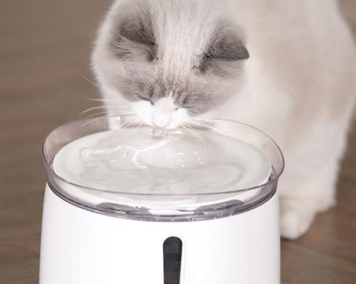 宠物饮水安全，选择猫咪饮水机是关键（为什么选择猫咪饮水机）
