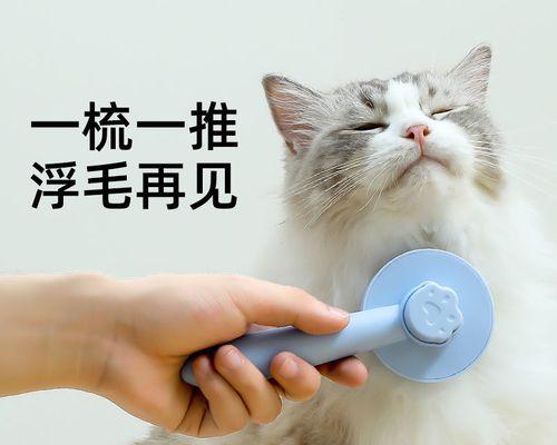 猫咪用品图片大全-满足您的猫咪需求的终极指南（为您的爱猫选择最佳用品）