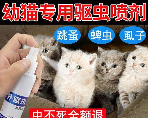 当你的宠物猫咪有跳骚，该怎么办（针对宠物猫咪跳骚行为的解决方法与建议）