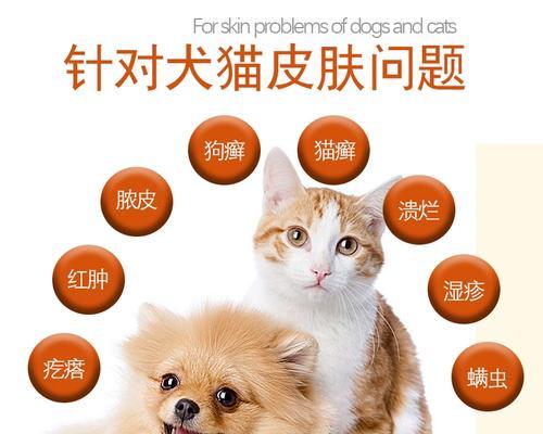 宠物猫咪的螨虫预防指南（保护爱宠健康）