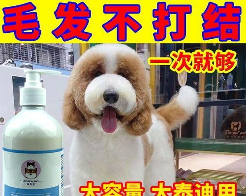 宠物猫咪的螨虫预防指南（保护爱宠健康）