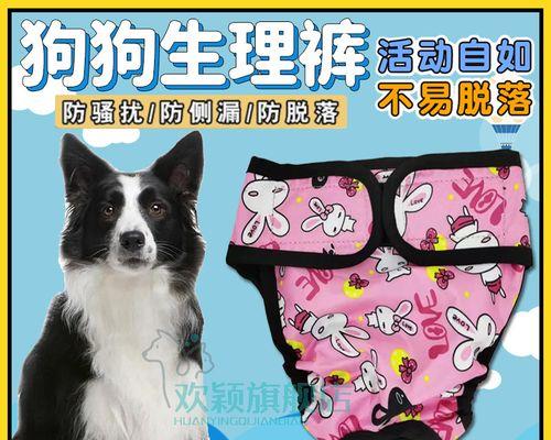 母狗经期的颜色为什么重要（从宠物健康）