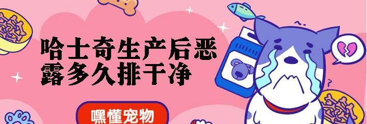 如何帮助母狗排恶露——宠物主人必看（母狗产后恢复关键）