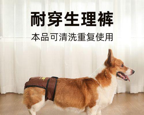 母狗生了小狗，我变得更胖了（宠物养护）