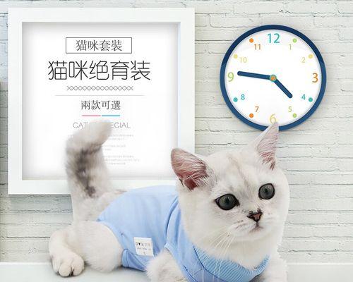 母猫抚养小猫的重要性（探讨宠物母猫对小猫的义务抚养）