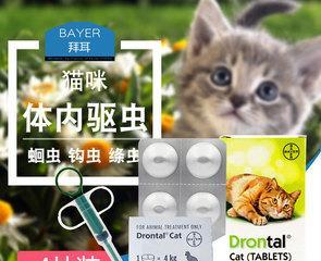 宠物猫咪的健康饮食-拜耳内驱吃法（营养与驱虫双重保障）