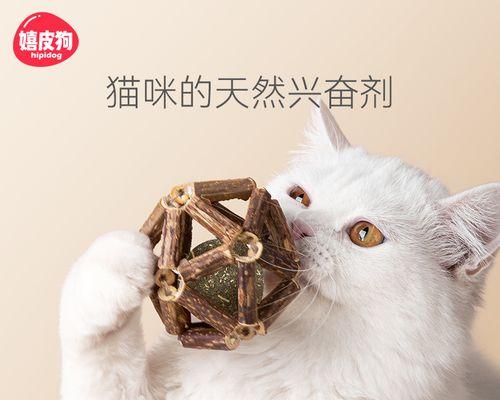 以木天蓼为宠物，如何安全使用（保护猫咪的健康和安全）