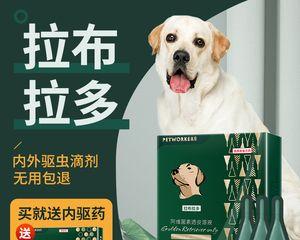 如何避免人误食狗药（以宠物为主）